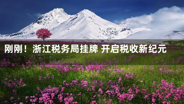 刚刚！浙江税务局挂牌 开启税收新纪元