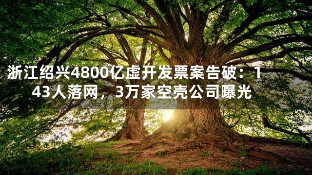 浙江绍兴4800亿虚开发票案告破：143人落网，3万家空壳公司曝光