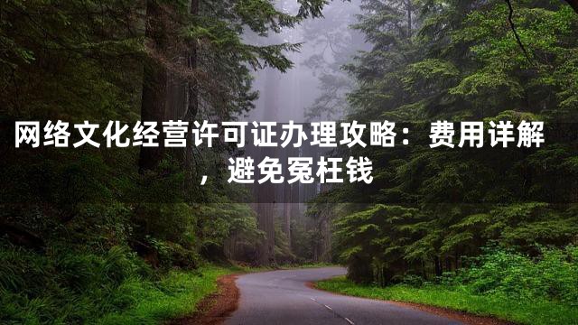 网络文化经营许可证办理攻略：费用详解，避免冤枉钱