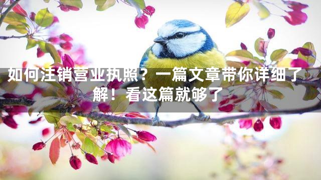 如何注销营业执照？一篇文章带你详细了解！看这篇就够了