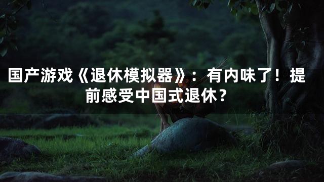 国产游戏《退休模拟器》：有内味了！提前感受中国式退休？
