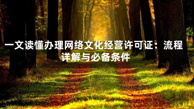一文读懂办理网络文化经营许可证：流程详解与必备条件