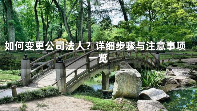 如何变更公司法人？详细步骤与注意事项一览