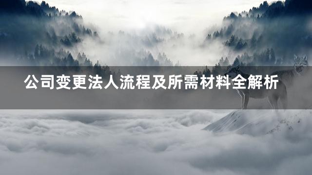公司变更法人流程及所需材料全解析