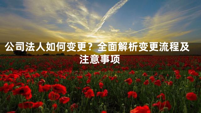 公司法人如何变更？全面解析变更流程及注意事项