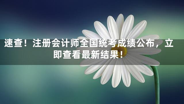 速查！注册会计师全国统考成绩公布，立即查看最新结果！