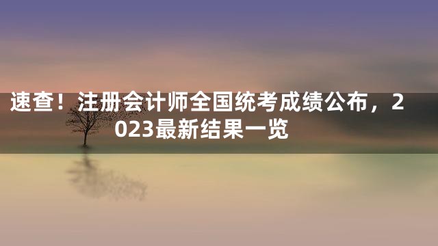 速查！注册会计师全国统考成绩公布，2023最新结果一览