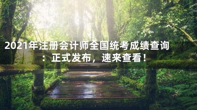 2021年注册会计师全国统考成绩查询：正式发布，速来查看！