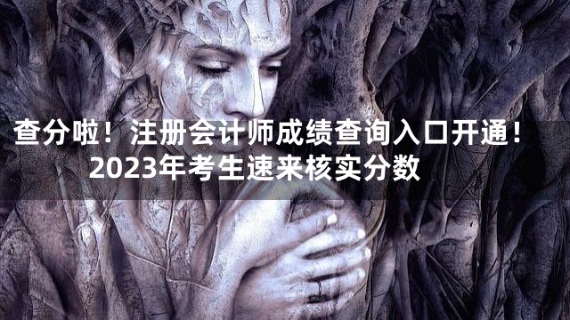查分啦！注册会计师成绩查询入口开通！2023年考生速来核实分数