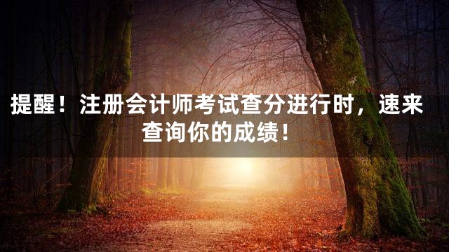 提醒！注册会计师考试查分进行时，速来查询你的成绩！