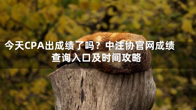 今天CPA出成绩了吗？中注协官网成绩查询入口及时间攻略