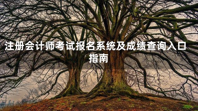 注册会计师考试报名系统及成绩查询入口指南