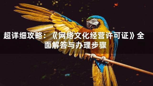 超详细攻略：《网络文化经营许可证》全面解答与办理步骤