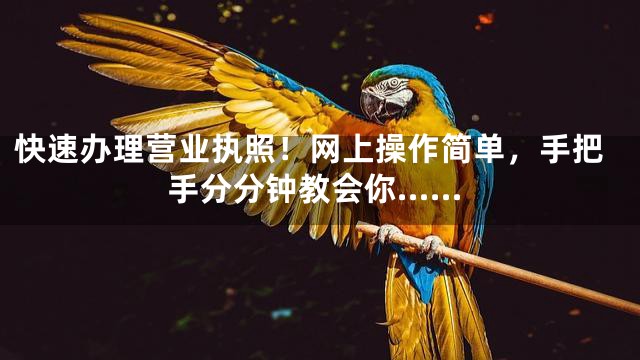 快速办理营业执照！网上操作简单，手把手分分钟教会你……
