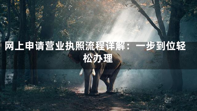网上申请营业执照流程详解：一步到位轻松办理