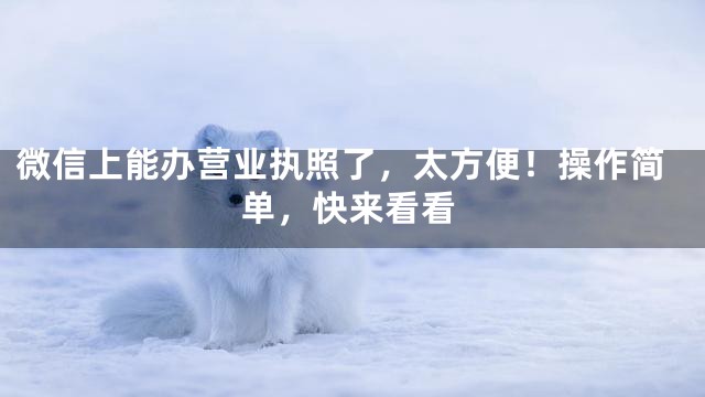 微信上能办营业执照了，太方便！操作简单，快来看看