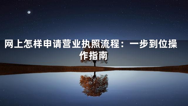 网上怎样申请营业执照流程：一步到位操作指南