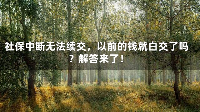 社保中断无法续交，以前的钱就白交了吗？解答来了！