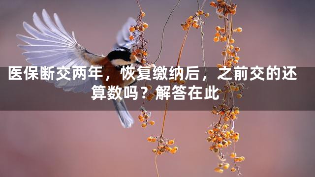 医保断交两年，恢复缴纳后，之前交的还算数吗？解答在此