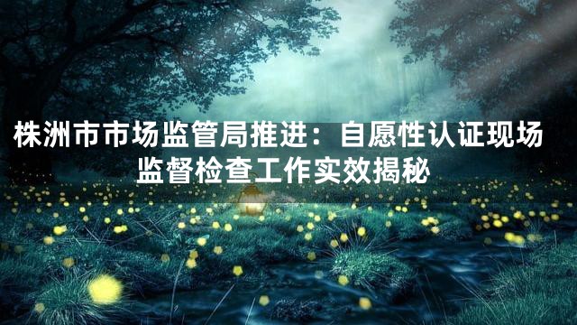 株洲市市场监管局推进：自愿性认证现场监督检查工作实效揭秘
