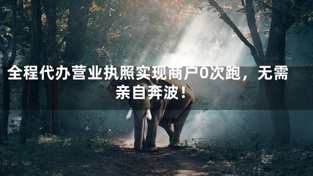 全程代办营业执照实现商户0次跑，无需亲自奔波！