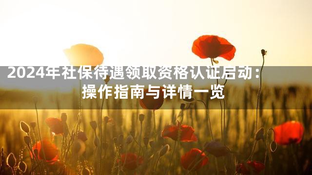 2024年社保待遇领取资格认证启动：操作指南与详情一览