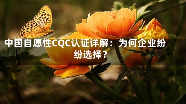 中国自愿性CQC认证详解：为何企业纷纷选择？
