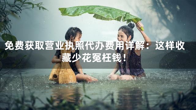免费获取营业执照代办费用详解：这样收藏少花冤枉钱！