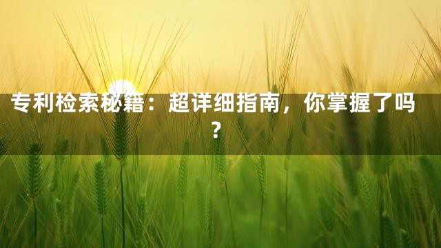 专利检索秘籍：超详细指南，你掌握了吗？