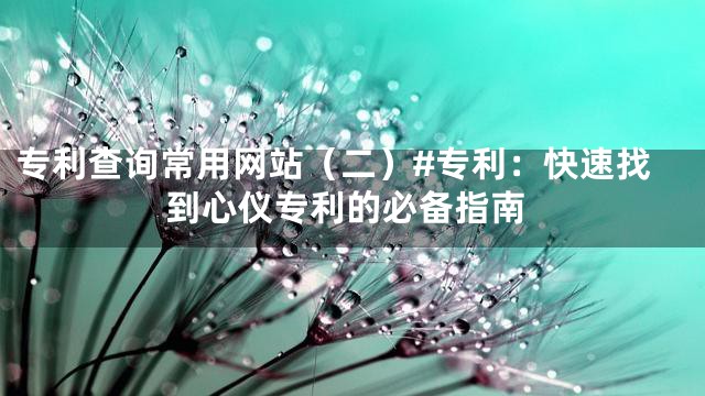 专利查询常用网站（二）#专利：快速找到心仪专利的必备指南
