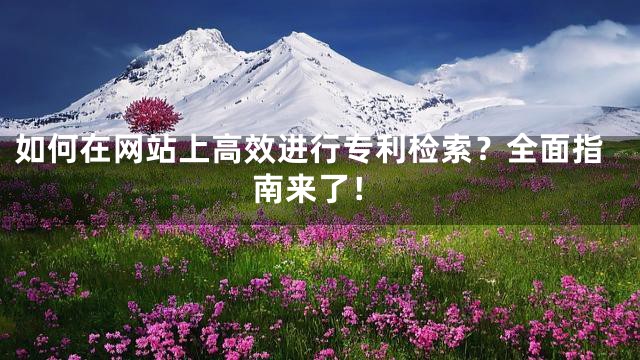 如何在网站上高效进行专利检索？全面指南来了！