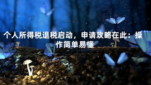 个人所得税退税启动，申请攻略在此：操作简单易懂