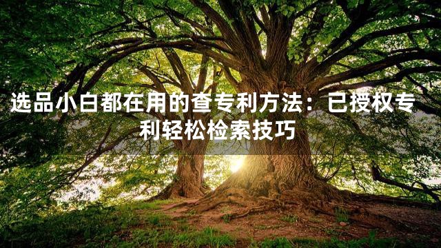 选品小白都在用的查专利方法：已授权专利轻松检索技巧