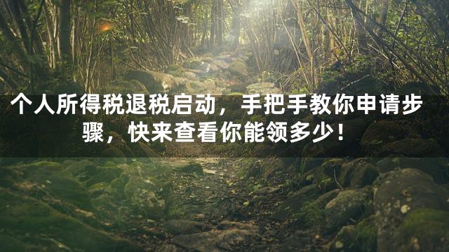 个人所得税退税启动，手把手教你申请步骤，快来查看你能领多少！