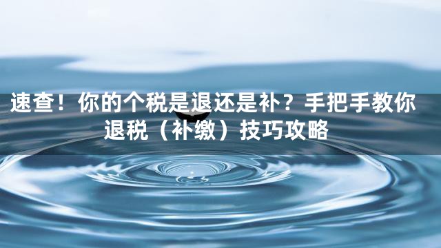 速查！你的个税是退还是补？手把手教你退税（补缴）技巧攻略