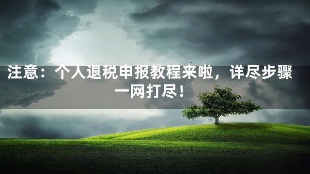 注意：个人退税申报教程来啦，详尽步骤一网打尽！