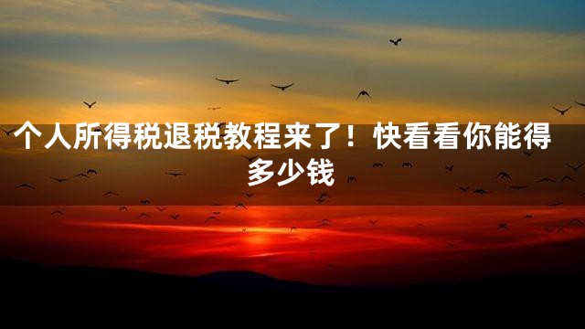 个人所得税退税教程来了！快看看你能得多少钱