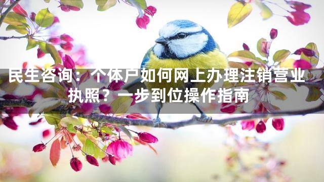 民生咨询：个体户如何网上办理注销营业执照？一步到位操作指南