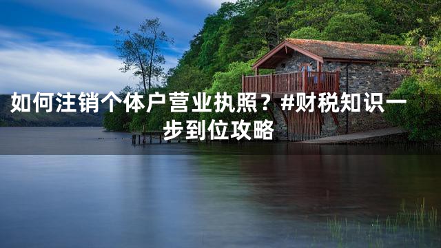 如何注销个体户营业执照？#财税知识一步到位攻略