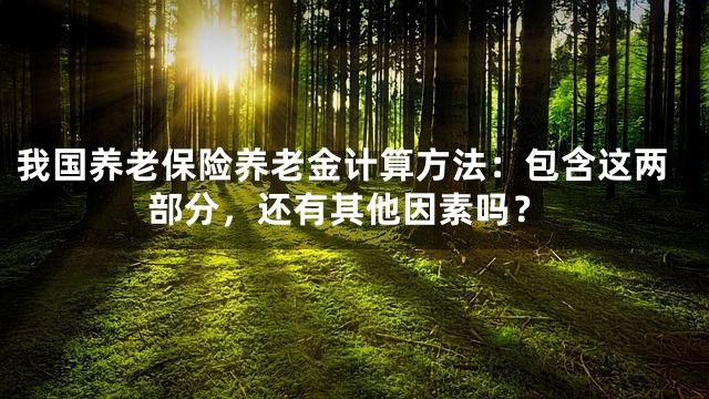 我国养老保险养老金计算方法：包含这两部分，还有其他因素吗？