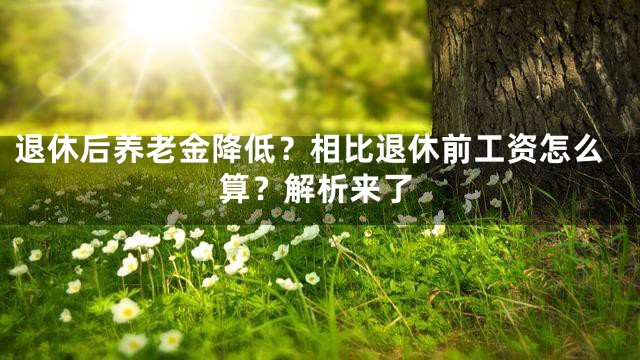 退休后养老金降低？相比退休前工资怎么算？解析来了