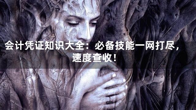 会计凭证知识大全：必备技能一网打尽，速度查收！