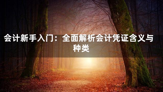 会计新手入门：全面解析会计凭证含义与种类
