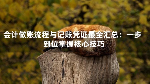 会计做账流程与记账凭证最全汇总：一步到位掌握核心技巧