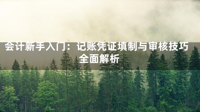 会计新手入门：记账凭证填制与审核技巧全面解析