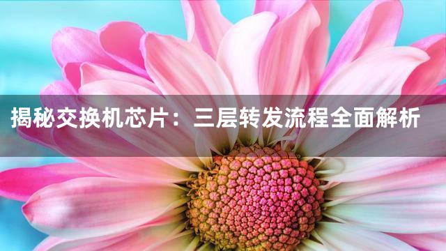 揭秘交换机芯片：三层转发流程全面解析
