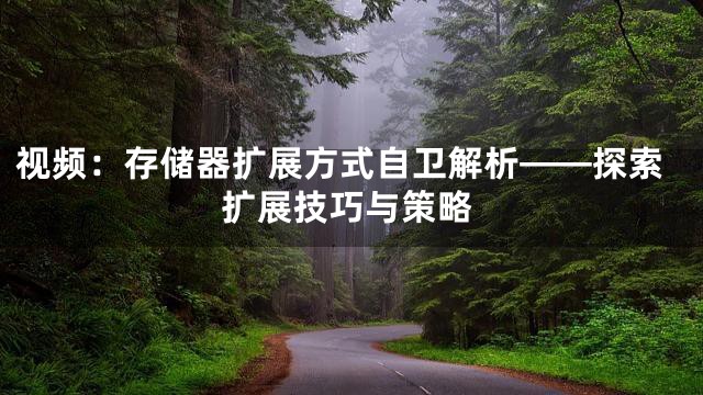 视频：存储器扩展方式自卫解析——探索扩展技巧与策略