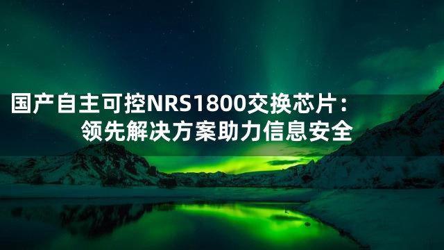 国产自主可控NRS1800交换芯片：领先解决方案助力信息安全