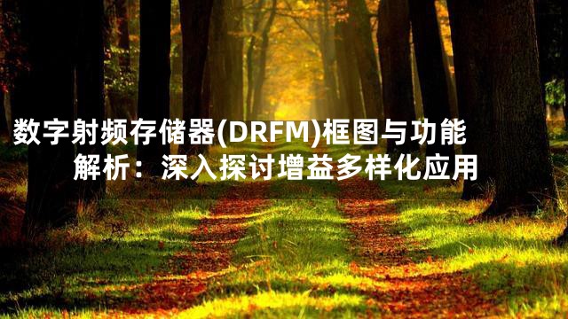 数字射频存储器(DRFM)框图与功能解析：深入探讨增益多样化应用