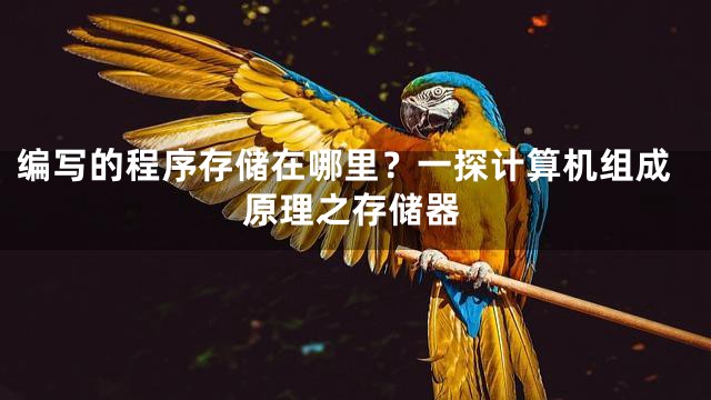 编写的程序存储在哪里？一探计算机组成原理之存储器